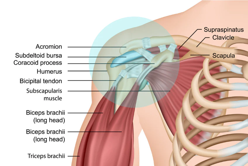 Frozen Shoulder In Rajnandgaon